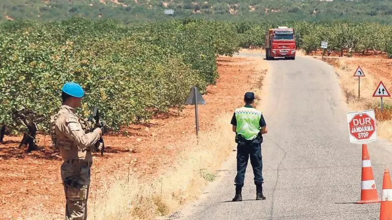Yeşil Altın'ın Komando Koruma Şaşkınlığı: Fındık Tarlalarına Özel Operasyon!