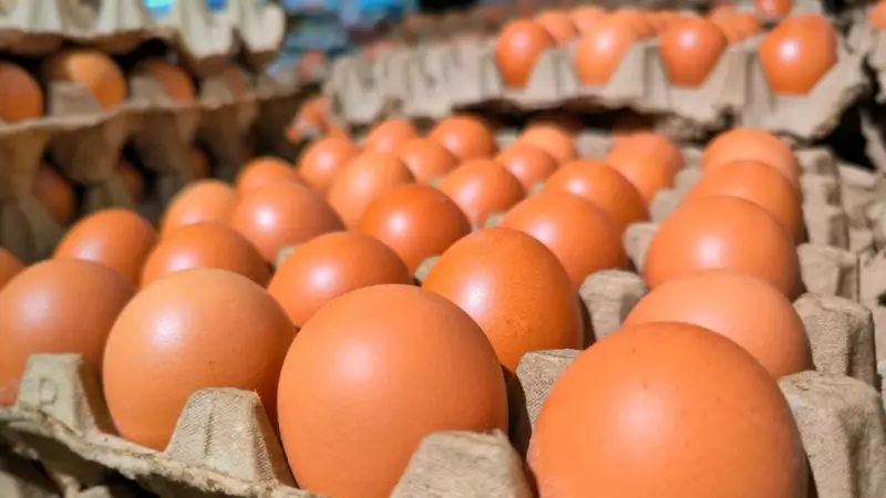 Yumurta Satışlarında Devrim Gibi Değişiklik! Artık Marketlerde Farklı Bir Sistem Geçerli