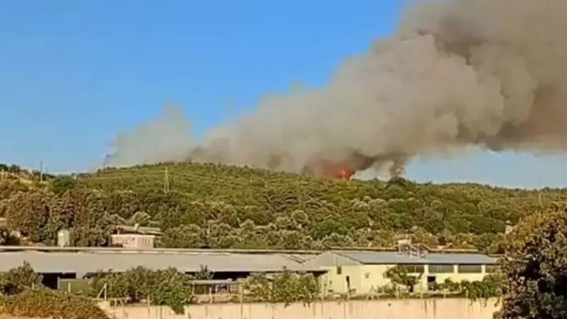 İzmir'de Orman Yangını: Ekipler Havadan ve Karadan Müdahale Ediyor!