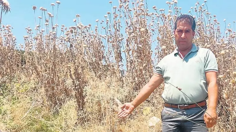 İzmir'de Su Faturaları Yine Şok Etti: İZSU'nun 'Bakar' Dedikleri Gerçek Oldu!