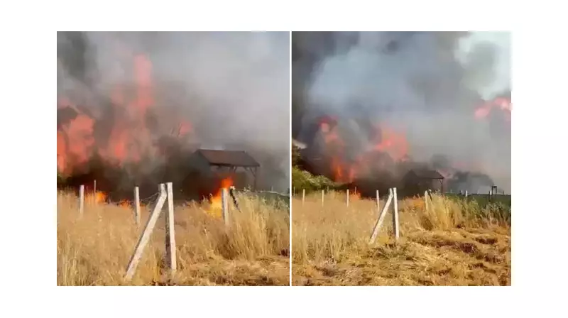 İzmir'de Tarım Arazisinde Çıkan Yangın: 8 Ev Küle Döndü!