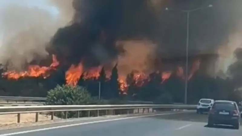 İzmir'deki Orman Yangını: Buca'nın Ciğerleri Yanıyor!