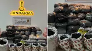 Gaziantep'te Dev Operasyon: 300 Kilo Kaçak Çay Yakalandı!