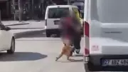 Gaziantep'te Vicdanları Sızlatan Vahşet: Köpeği Motosiklete Bağlayıp Sürüklediler!