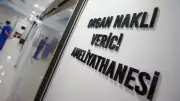 Türkiye, Canlı Vericili Nakillerde Dünya Ligi'nde Fark Atıyor: Böbrekte Birinci, Karaciğerde İkinci Sırada!