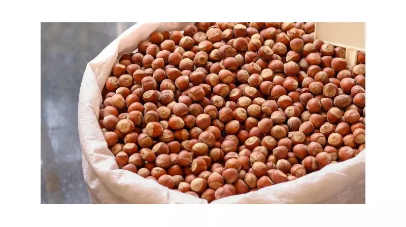 2025 Fındık Fiyatları Açıklandı: Üreticiler ve Alıcılar İçin Kritik Detaylar!