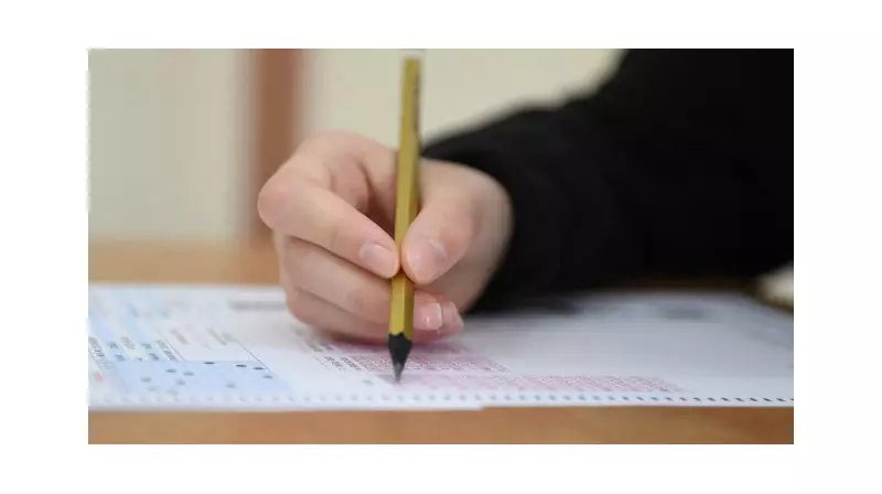 2025 TUS Tercih Dönemleri Açıklandı: 1. Dönem Tercihleri Nasıl Yapılır?