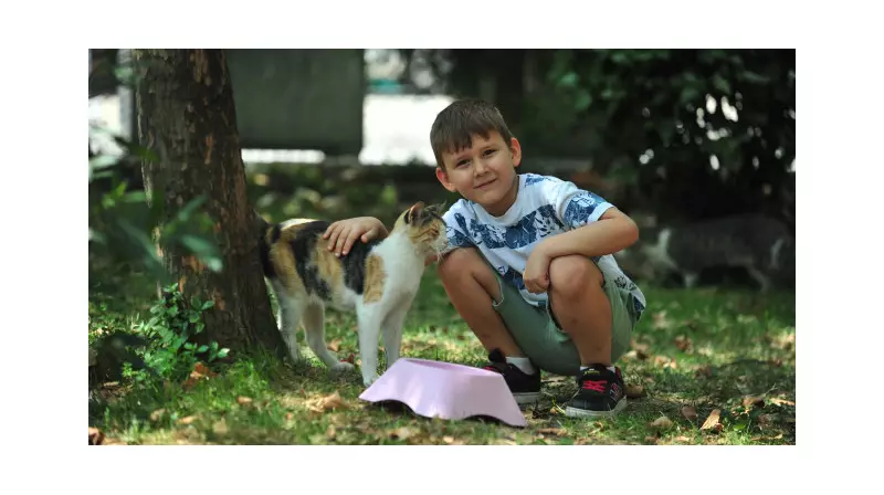 6 Yaşındaki Dorukhan'ın Sokak Hayvanlarına Olan Sevgi Dolu Desteği Sosyal Medyayı Sallıyor!
