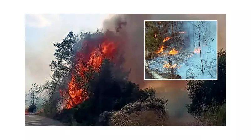 Adana'da Çıkan Orman Yangını Korku Dolu Anlar Yaşattı!