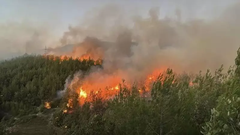 Adana'da Çıkan Orman Yangını Korku ve Endişe Yarattı!