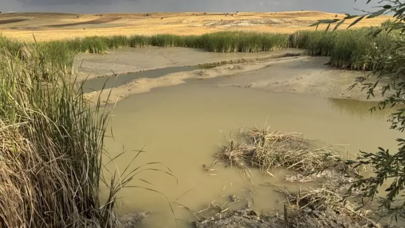 Afyonkarahisar'da Acı Haber: Serinlemek İçin Gölete Giren İki Çocuk Hayatını Kaybetti