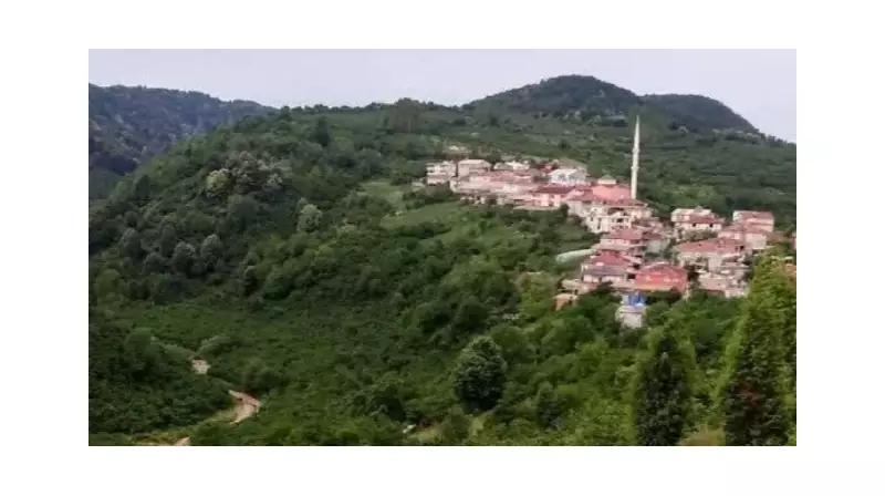 Alaplı'da 5 Köyde Sandık Heyecanı! Muhtarlık Seçimleri İçin Geri Sayım Başladı