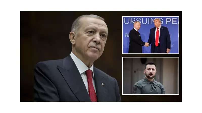 Alaska Zirvesi'nde Türkiye'nin Rolü: Cumhurbaşkanı Erdoğan'dan Küresel İş Birliği Mesajı