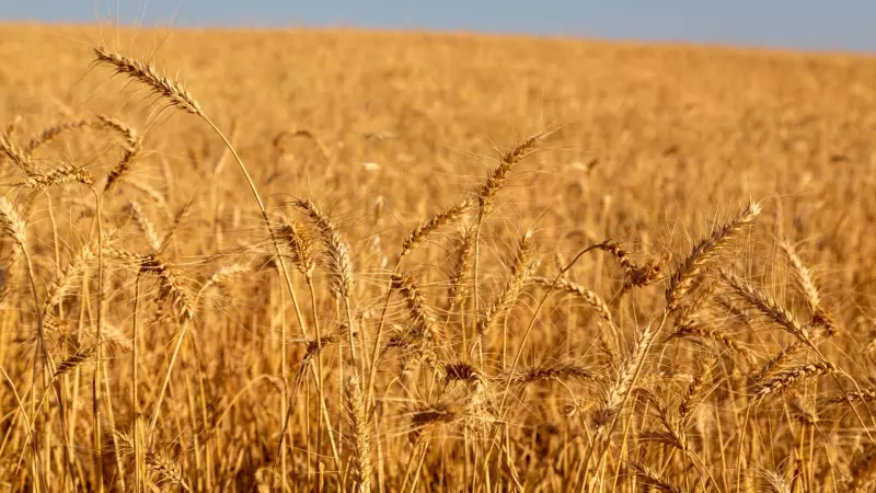 Anadolu Efes, Tarım Ekonomisine 1.7 Milyar TL'lik Dev Destek Sağladı!
