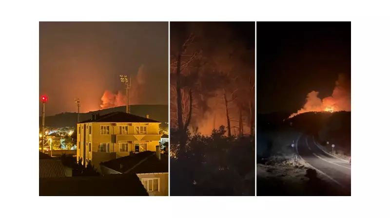Çanakkale Bayramiç'te Orman Yangını: Alevler Rüzgarla Birlikte Hızla Yayılıyor!