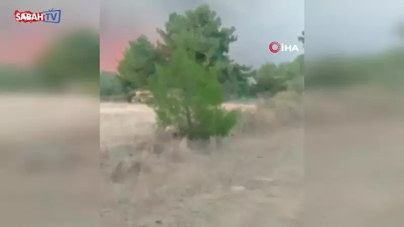 Çanakkale'de Alevlerin Arasından Sıyrılan Karacanın Şaşırtan Kaçışı!