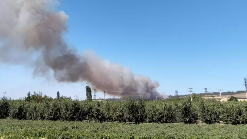 Çanakkale'de Çıkan Orman Yangını: Rüzgarın Alevleriyle Dansı