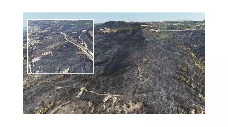 Çanakkale'de Çıkan Yangın: Geride Kalan Acı Tablo ve Kayıplar