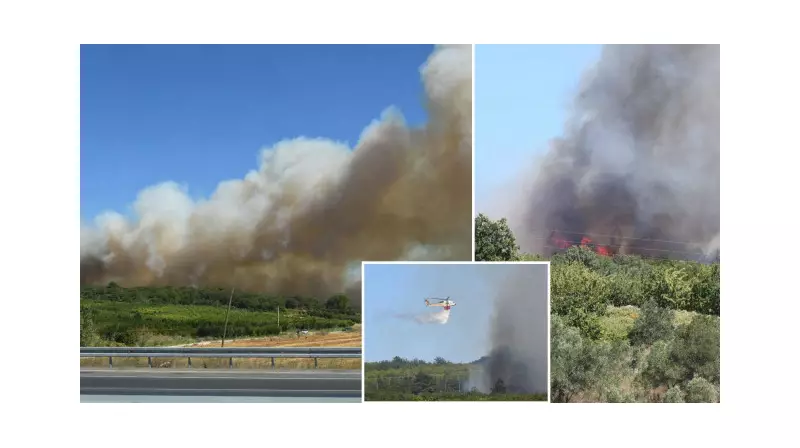 Çanakkale'de Tarım Arazisinde Başlayan Yangın Ormana Sıçradı! Müdahale Devam Ediyor