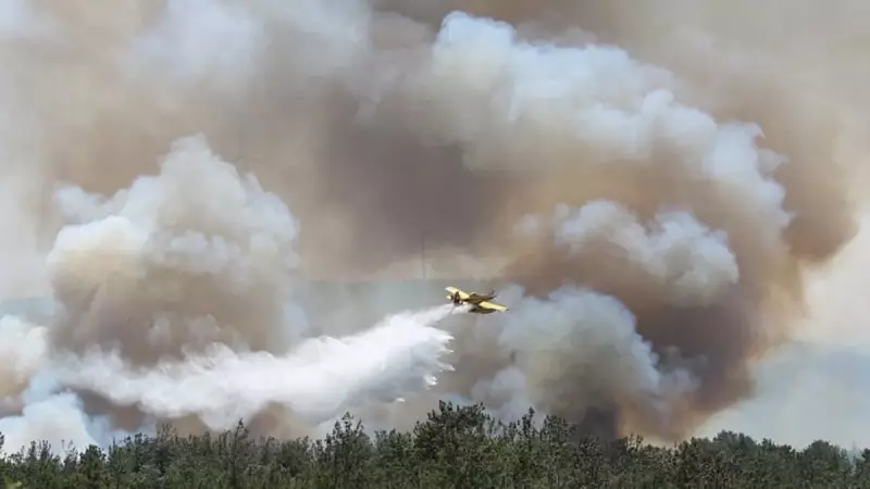 Çanakkale'deki Elmacık Mahallesi'nde Çıkan Yangın Kontrol Altında: İşte Detaylar!