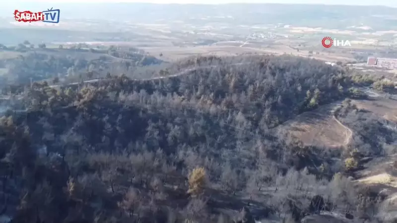 Çanakkale'deki Orman Yangını Sonrası Çarpıcı Görüntüler: Yeşilin Yok Oluşu