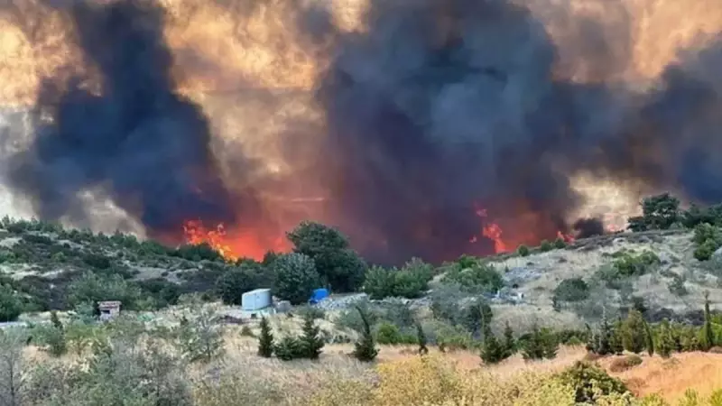 Çanakkale'deki Orman Yangınına Havadan ve Karadan Büyük Müdahale: Son Durum Ne?