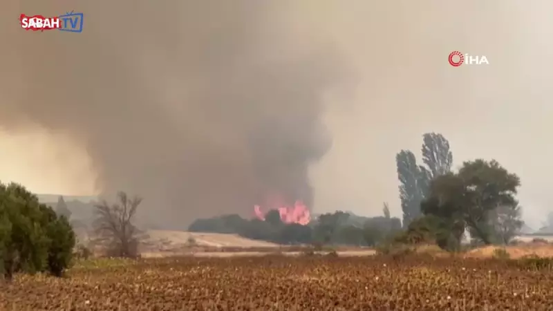 Çanakkale'deki Orman Yangınına Havadan ve Karadan Yoğun Müdahale: Son Dakika Gelişmeleri