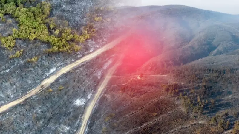 Çanakkale'deki Orman Yangınının Yürek Burkan Sonuçları: Drone Görüntüleri İle Ortaya Çıktı!