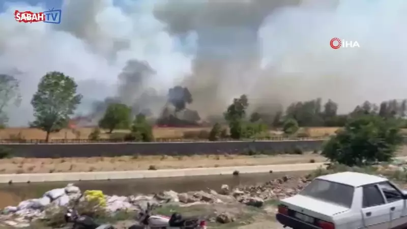 Çanakkale'deki Yangın İşletmeleri Tehdit Etti: Anlar Kamerada!