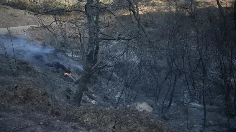 Çanakkale'deki Yangınlar Kontrol Altında: Bakan Yumaklı'dan Son Dakika Açıklaması!