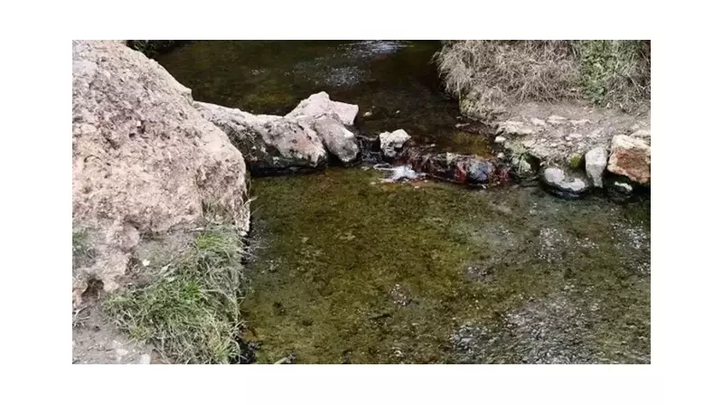 Çankırı'da Şifalı Su Faciası: Çift Gaz Zehirlenmesinden Hayatını Kaybetti!