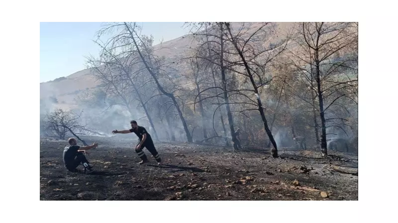 Şanlıurfa'daki Orman Yangını Son Dakika: Alevler Kontrol Altında!