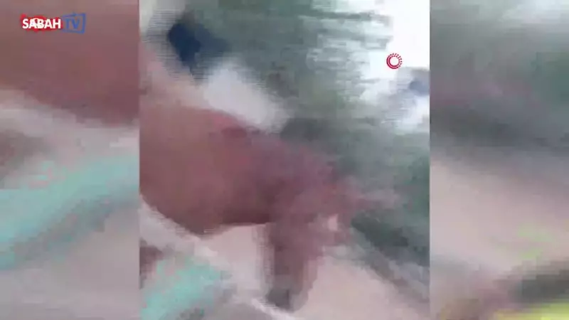 Antalya'da Şok Eden Olay: At, Baba Kucağındaki Çocuğu Isırıp Havaya Fırlattı!