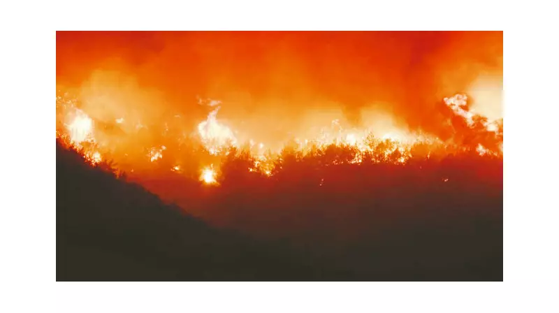 Arazide Çıkan Yangında Bir Kahraman Daha Can Verdi: Acı Haber Geldi!