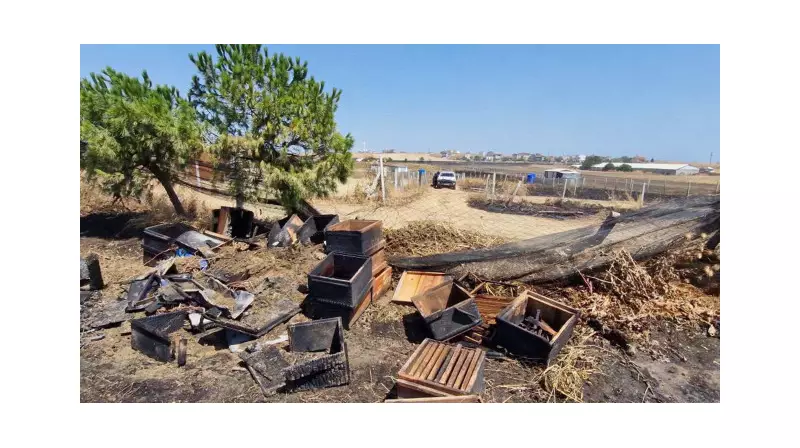 Ağrı'daki Yangın Felaketi: 150 Arı Kovanı Küle Döndü!