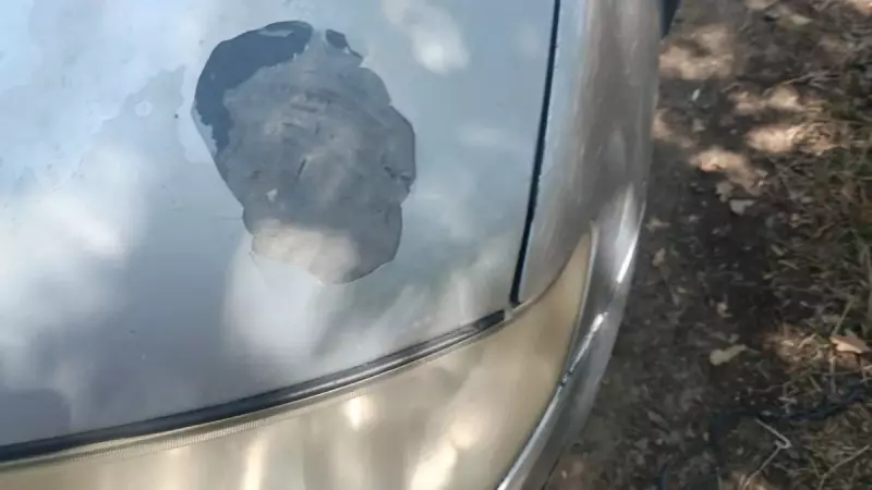 Şarköy'de Korkunç Gece: Köy Eşkıyaları Karanlıkta Kurşun Yağdırdı!