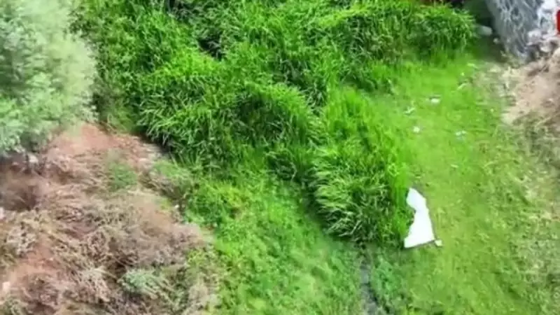 Arnavutköy'deki Alibey Deresi'nde Korkunç Kirlilik: Vatandaşlar İsyan Etti!