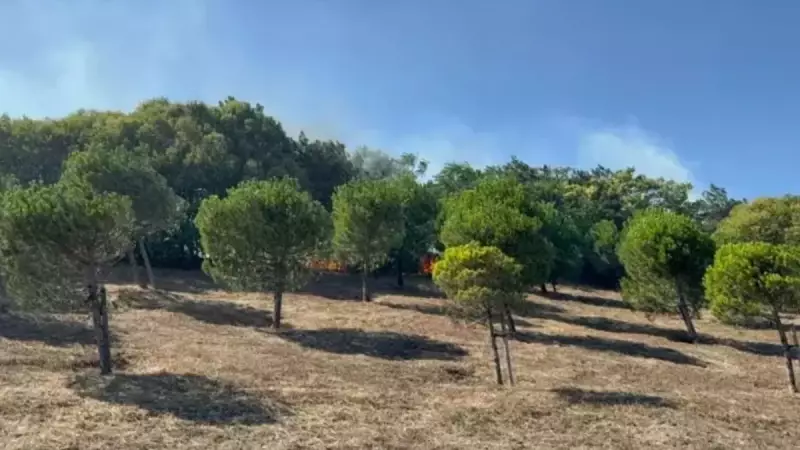 Çatalca'da Aniden Patlayan Yangın: İki Bölge Alarm Verdi!