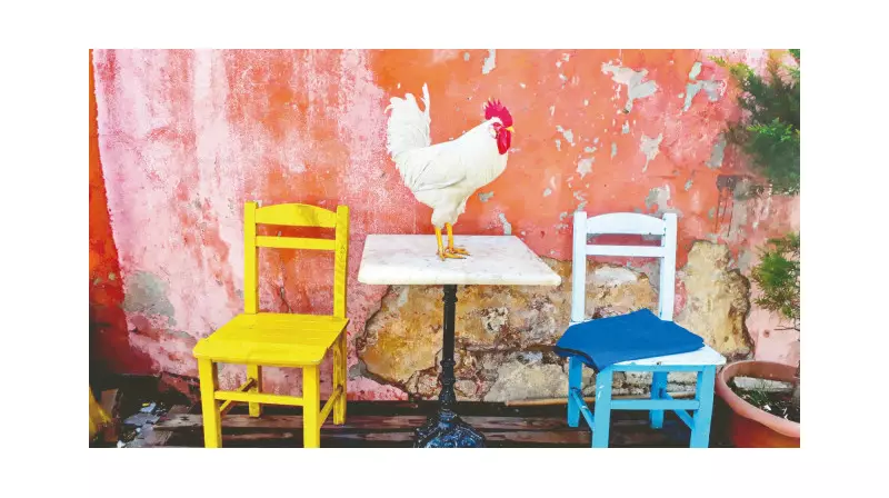 Attila İlhan'a Saygı ve Minnetle: Dergilik Özel Sayısıyla Anılıyor