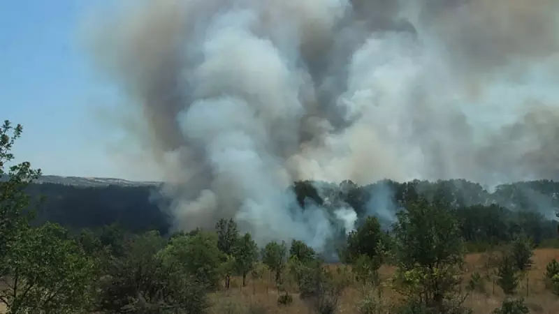 Avrupa Otoyolu'nda Korkutan Yangın: Trafik Felç Oldu!