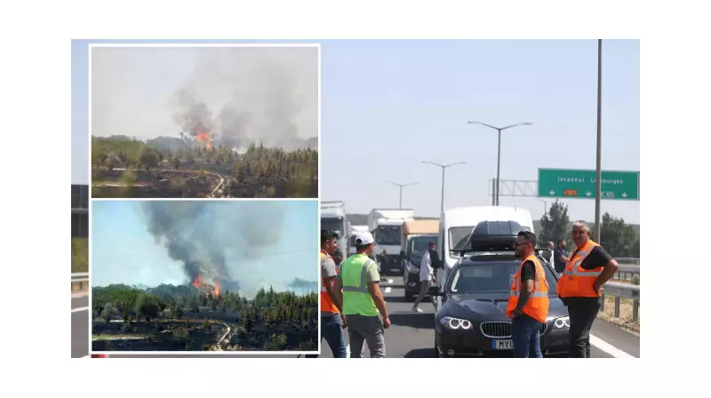 Avrupa Otoyolu'nda Yangın Faciası: Alevler Anızları Sarınca Ulaşım Felç Oldu!