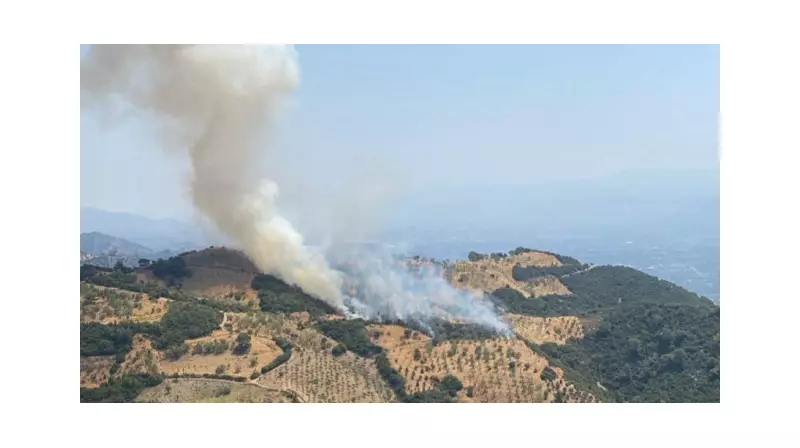 Aydın'da Tarım Arazisinde Çıkan Yangın Korku Dolu Anlar Yaşattı!