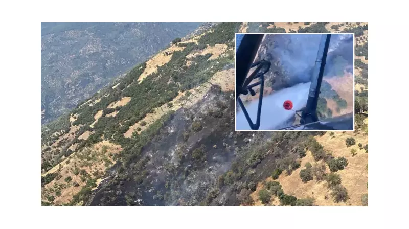 Aydın'da Tarım Arazisinde Çıkan Yangın Son Dakika: İtfaiye Ekipleri Müdahale Etti!