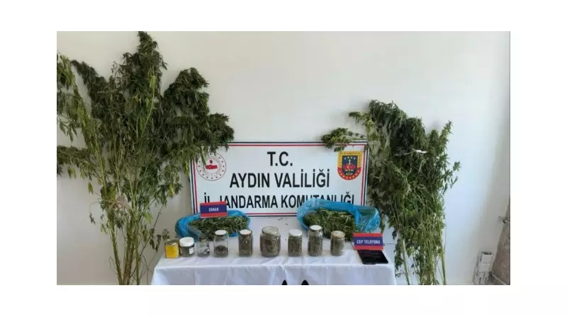 Aydın'da Uyuşturucu Operasyonu: 12 Şüpheli Gözaltında!