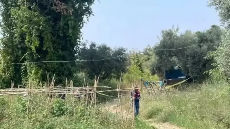 Bahçesini Yaban Domuzlarından Korurken Hayatını Kaybetti: Acı Son!