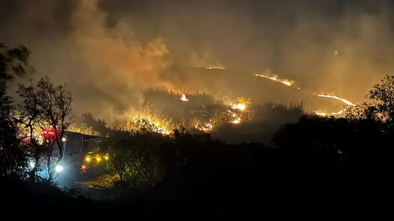Balıkesir'de Makilik Alanda Çıkan Yangın Korkuttu: İşte Son Durum!