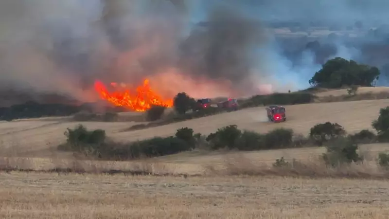 Balıkesir'de Orman Yangını! Alevlere Havadan ve Karadan Müdahale Başladı