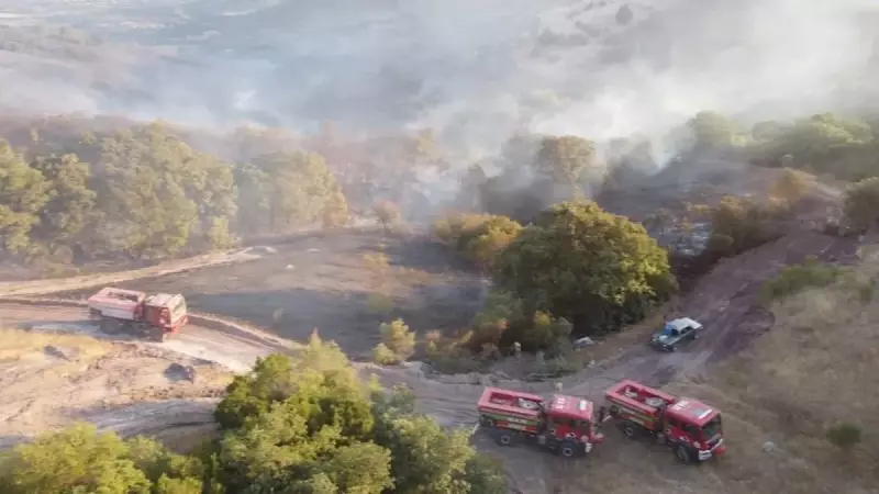 Balıkesir'deki Orman Yangını 13 Saatin Sonunda Kontrol Altında! İşte Tüm Detaylar