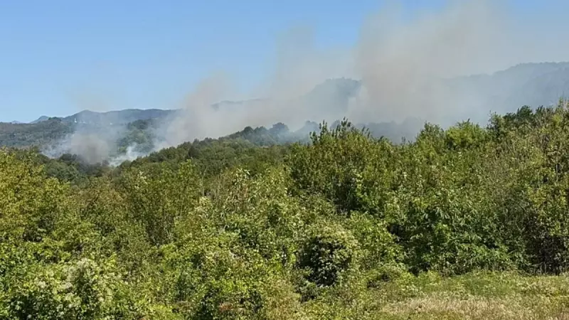 Bartın'da İki Farklı Noktada Alevler Yükseldi: Orman Yangını Alarmı!