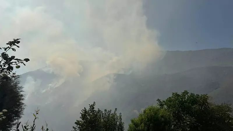 Bartın'da Orman Yangını: Alevlerle Gece Yarısı Mücadelesi ve Zaferle Sonuçlanan Operasyon